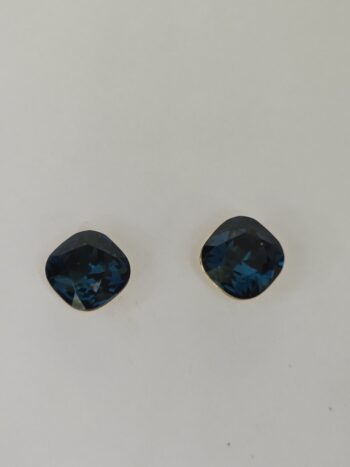 Imported Western Earring